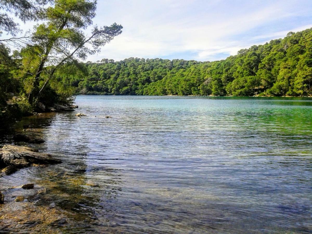 Authentic Ap For 2, Babino Polje,Mljet Apartament Zewnętrze zdjęcie