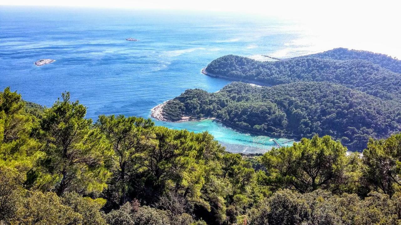 Authentic Ap For 2, Babino Polje,Mljet Apartament Zewnętrze zdjęcie