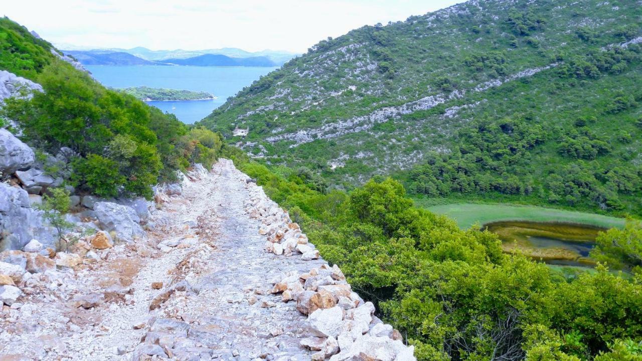 Authentic Ap For 2, Babino Polje,Mljet Apartament Zewnętrze zdjęcie