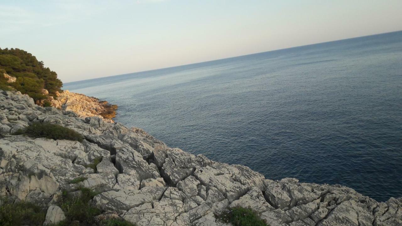 Authentic Ap For 2, Babino Polje,Mljet Apartament Zewnętrze zdjęcie